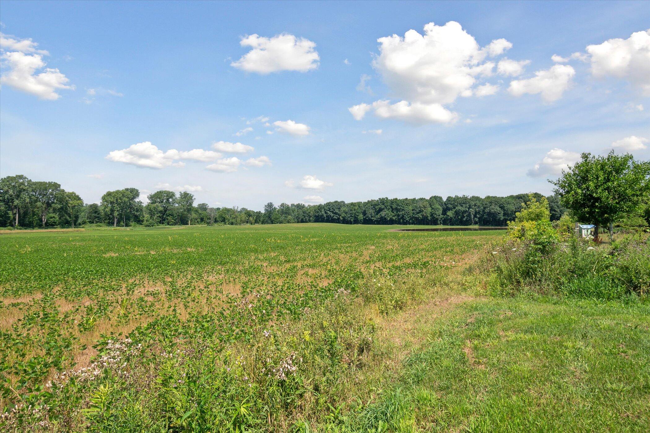 5386 Freiermuth Road Stockbridge, MI 49285 - Photo 54 of 57 54-5386-Freiermuth-Rd-Stockbridge-MI-492