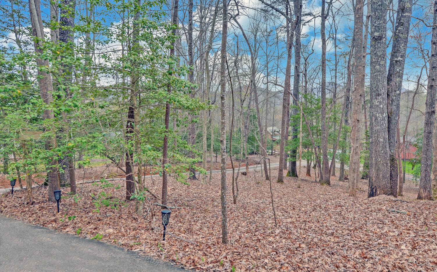 2139 Lake Louisa Road Hiawassee, GA 30546 - Photo 31 of 48 a view of a backyard with plants and trees