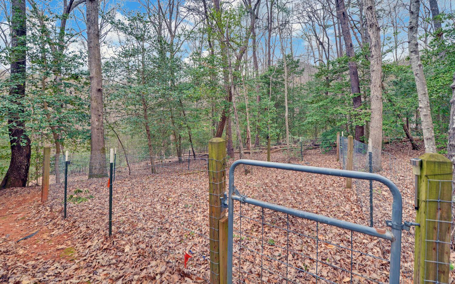 2139 Lake Louisa Road Hiawassee, GA 30546 - Photo 32 of 48 a view of a small yard with large trees