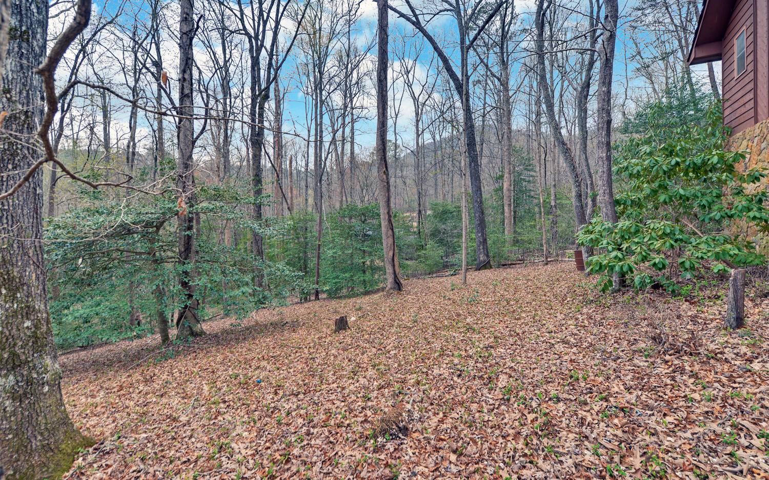 2139 Lake Louisa Road Hiawassee, GA 30546 - Photo 33 of 48 a view of a backyard with trees