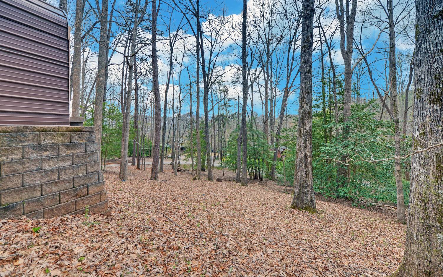 2139 Lake Louisa Road Hiawassee, GA 30546 - Photo 34 of 48 a backyard of a house with lots of green space