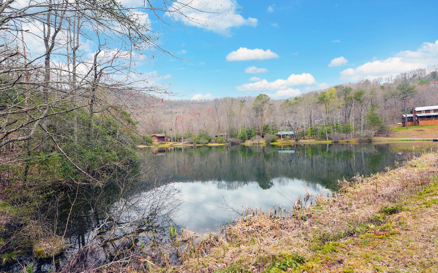 2139 Lake Louisa Road Hiawassee, GA 30546 - Photo 38 of 48 a view of lake