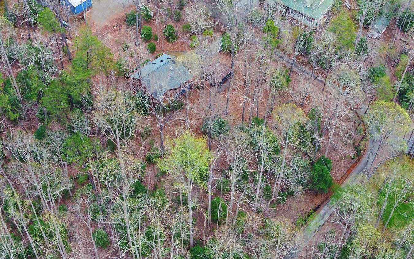 2139 Lake Louisa Road Hiawassee, GA 30546 - Photo 39 of 48 a view of a yard with plants and wooden fence