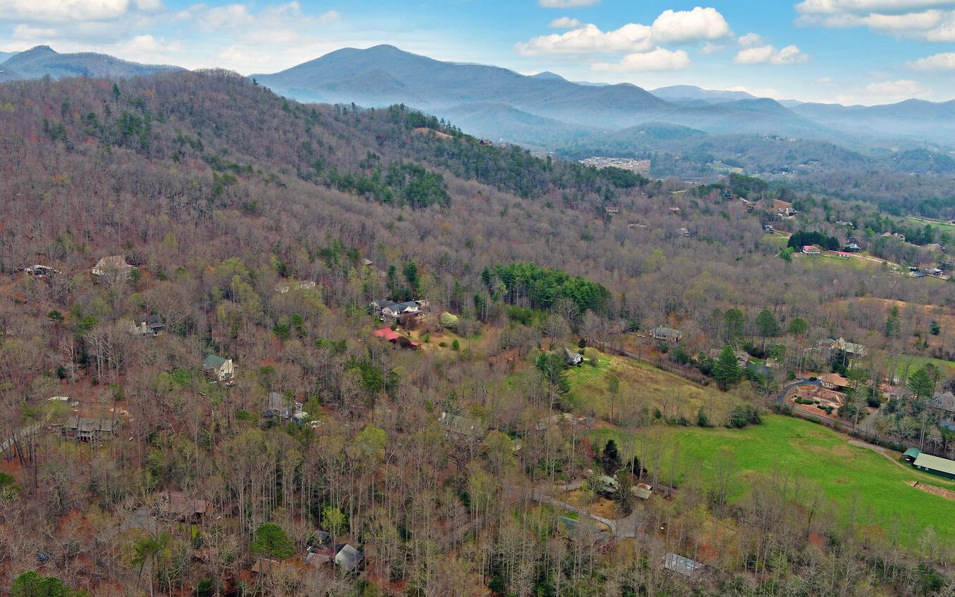 2139 Lake Louisa Road Hiawassee, GA 30546 - Photo 42 of 48 a view of a lush green hillside and houses