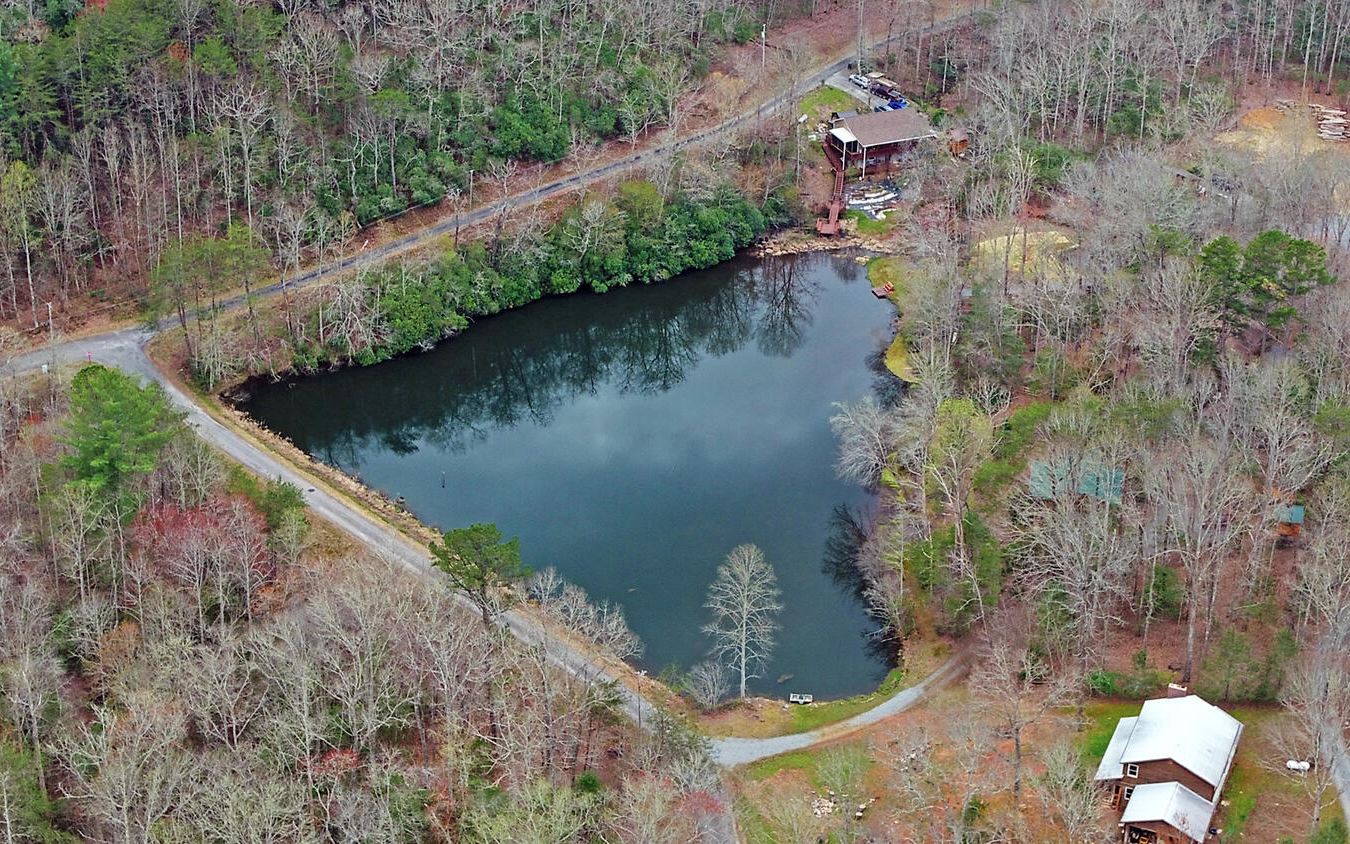 2139 Lake Louisa Road Hiawassee, GA 30546 - Photo 45 of 48 a view of a lake with a yard and large trees