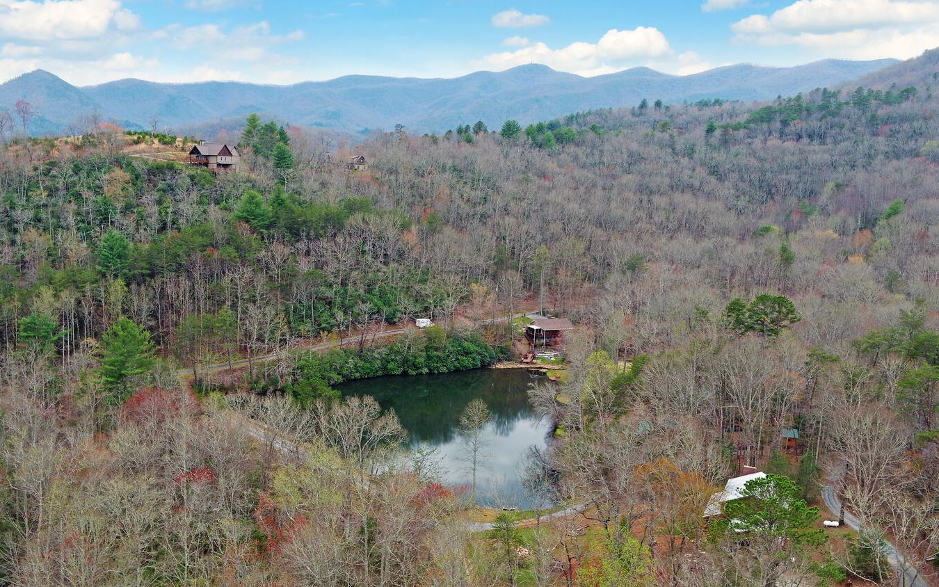 2139 Lake Louisa Road Hiawassee, GA 30546 - Photo 46 of 48 a view of river covered with trees in the background