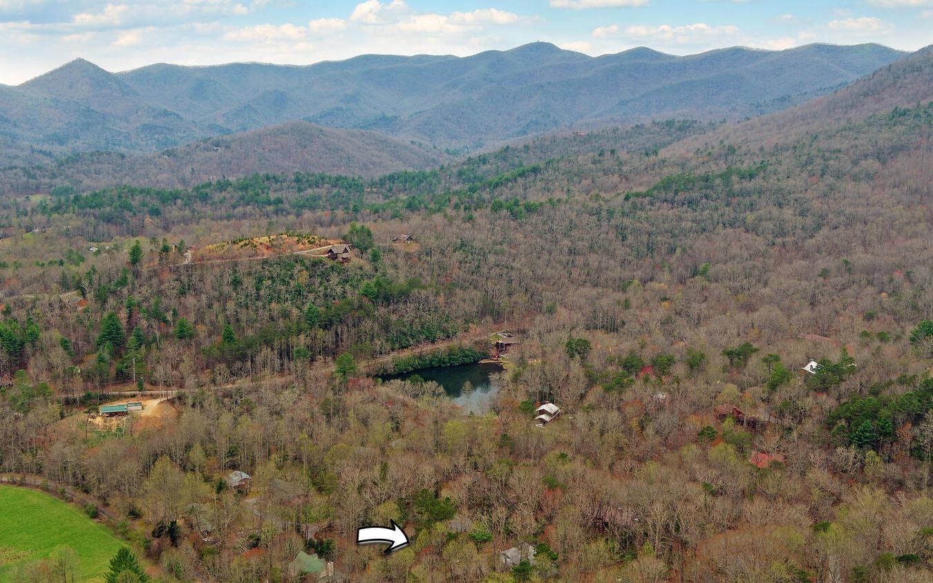 2139 Lake Louisa Road Hiawassee, GA 30546 - Photo 47 of 48 a view of a town with trees in the background
