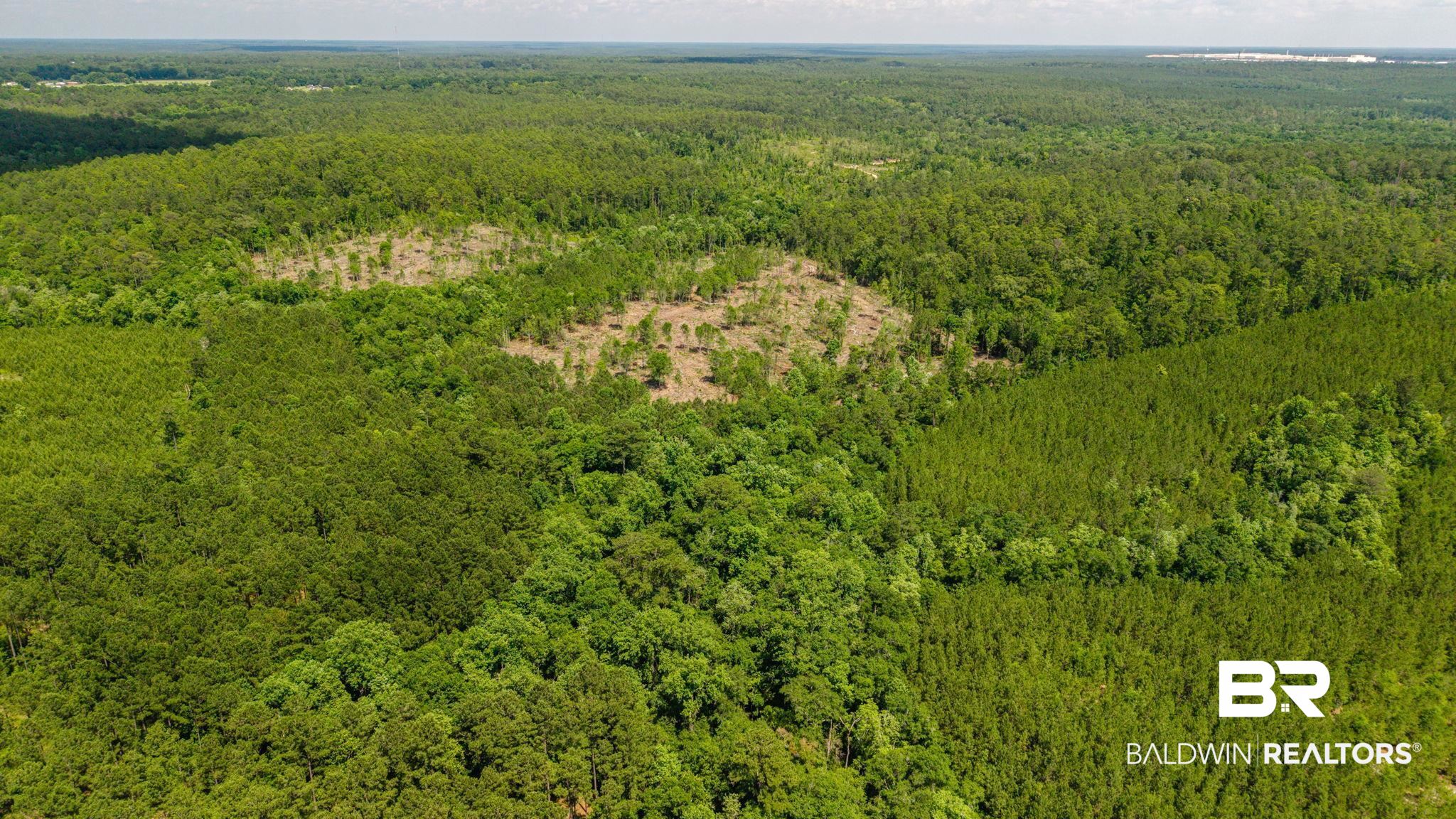 0 Joe Hall Road Bay Minette, AL 36507 - Photo 5 of 13