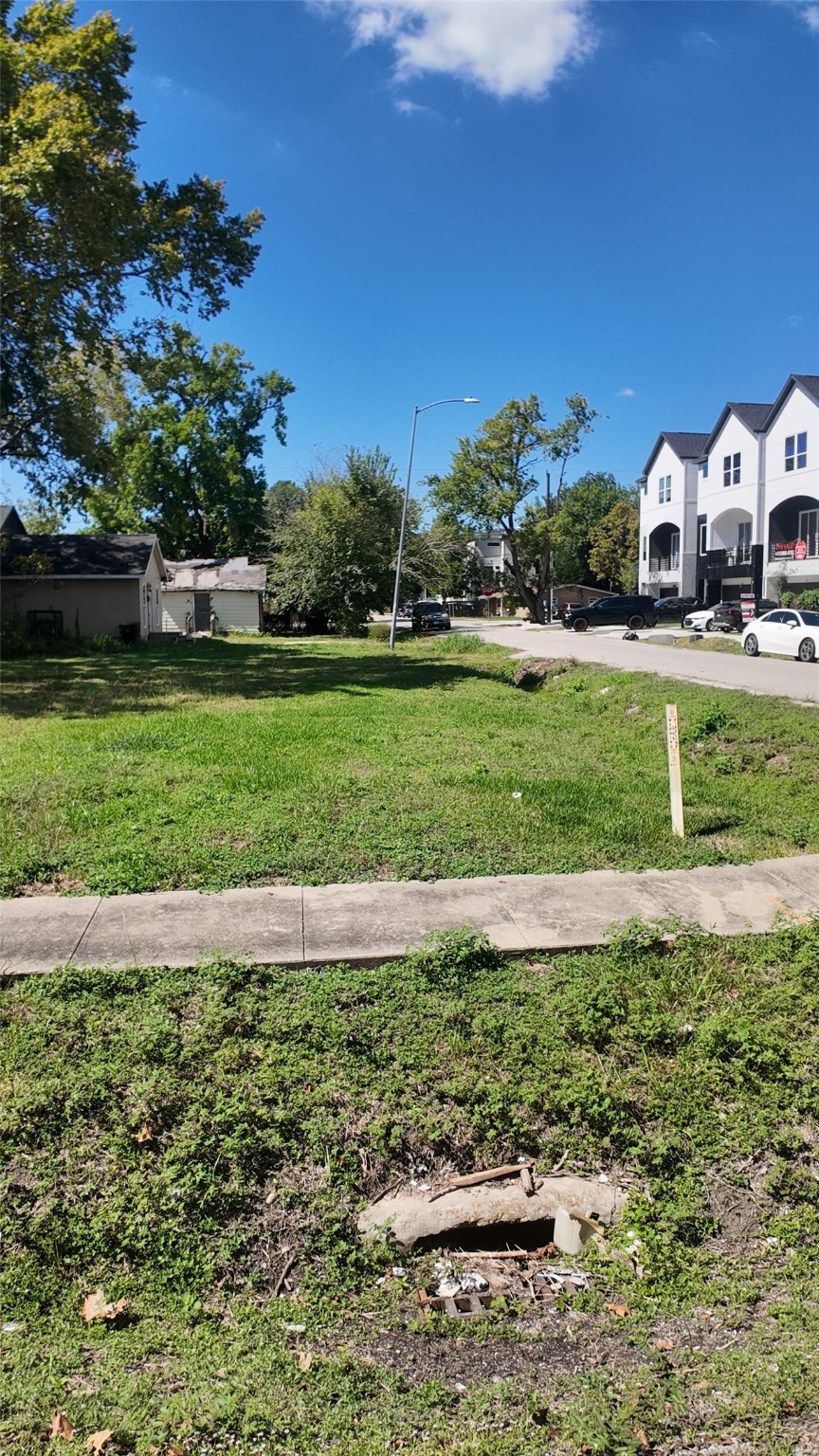 6802 England Street Houston, TX 77021 - Photo 7 of 8 a view of a garden with houses