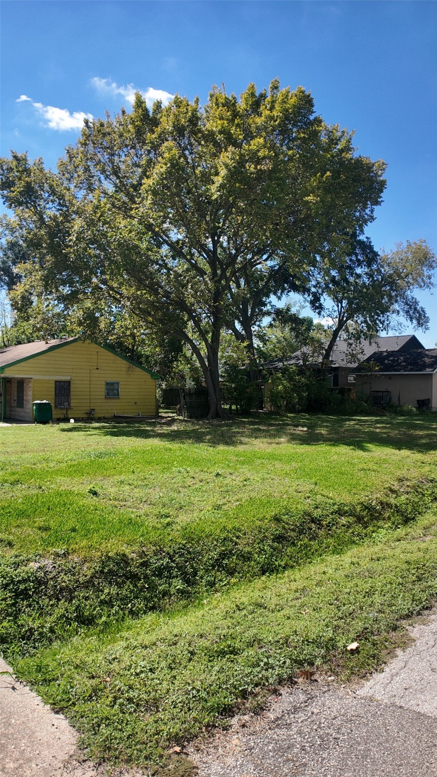 6802 England Street Houston, TX 77021 - Photo 8 of 8 a view of a garden