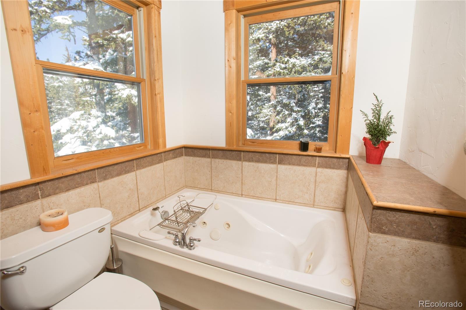 437 Ansley Road Alma, CO 80420 - Photo 9 of 36 Gallery Image 9