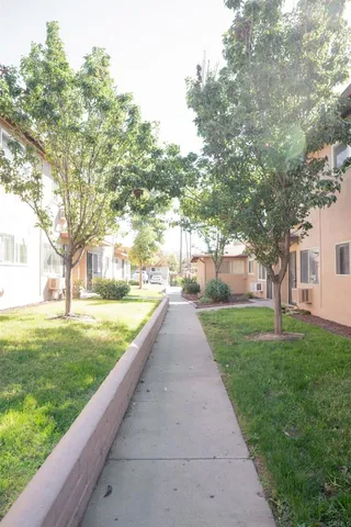 a view of a yard with plants and trees