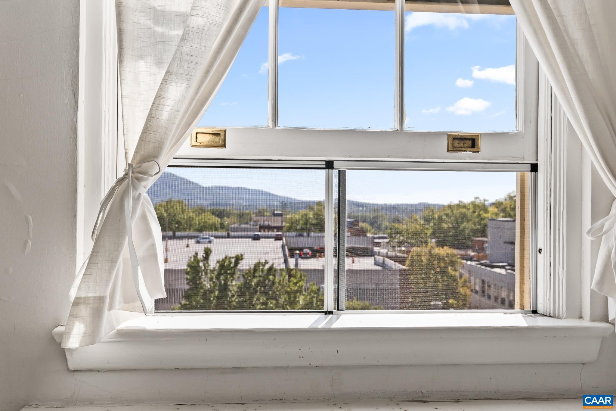 500 Court Square, Unit 505 Charlottesville, VA 22902 - Photo 16 of 16 a view of a window