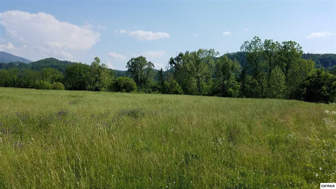 10 River Rpds Way Del Rio, TN 37727 - Photo 8 of 16 Gallery Image 8