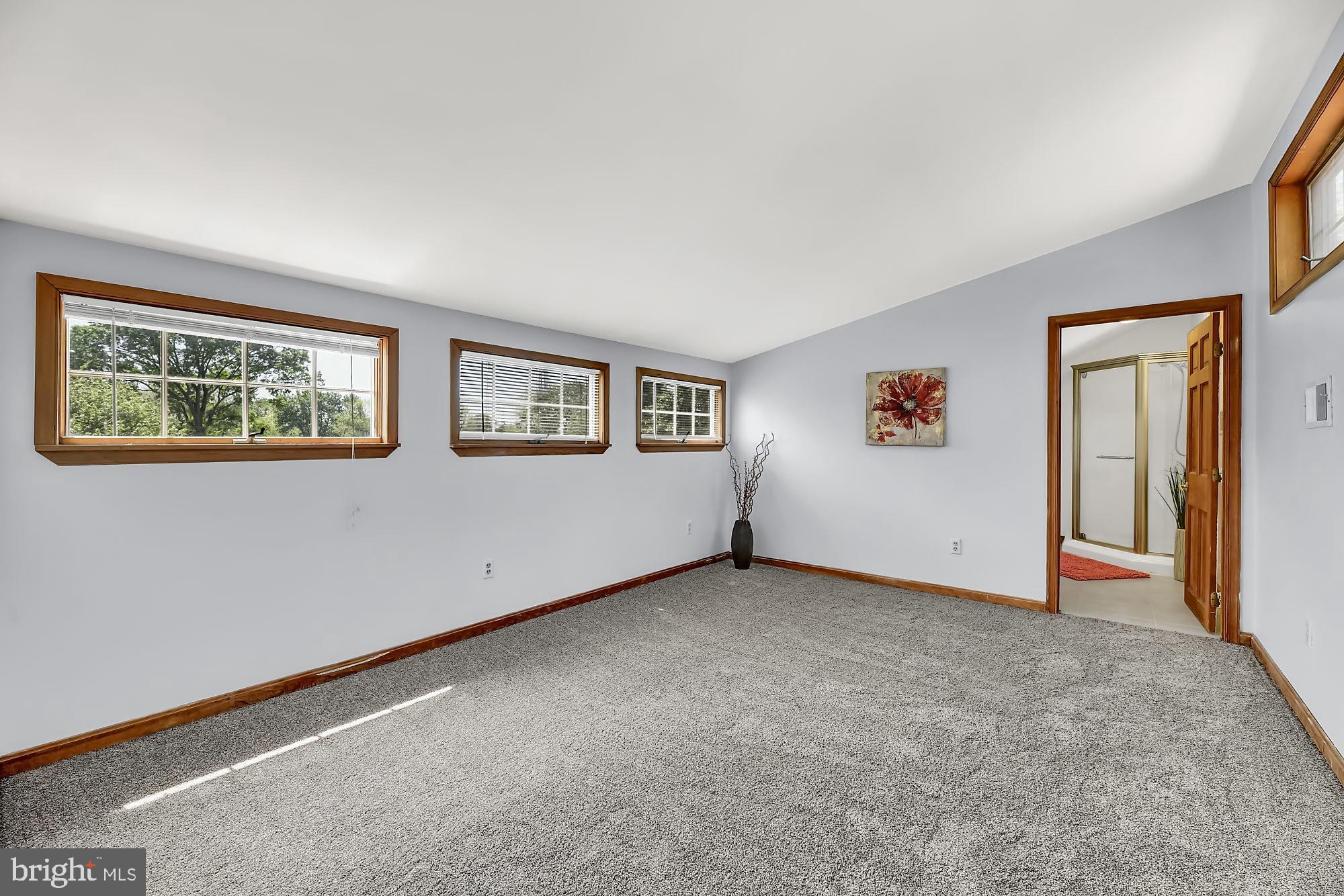 4018 Briar Point Road Baltimore, MD 21220 - Photo 30 of 56 3rd level bedroom-optional 2nd master suite