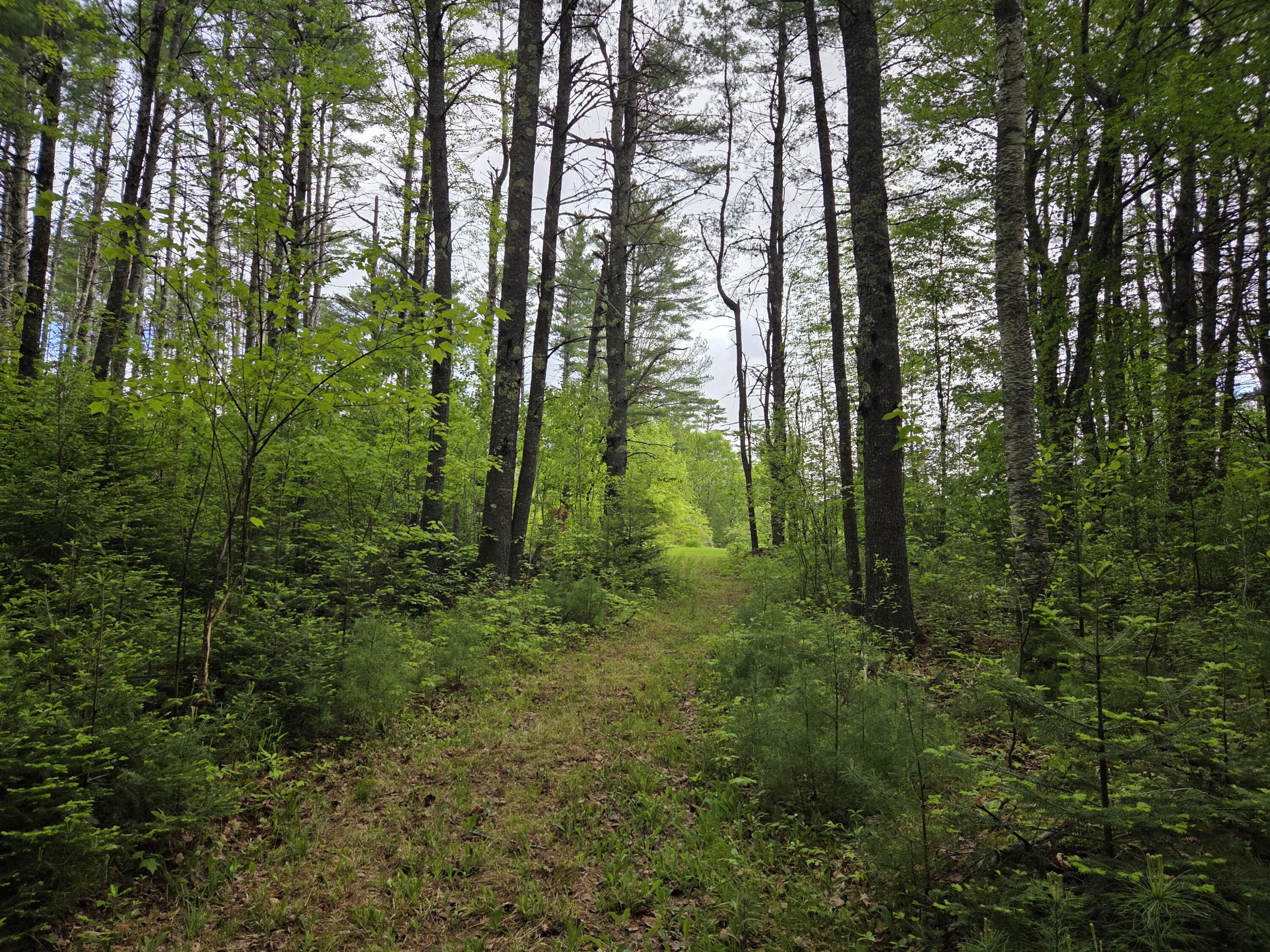 1462 Waterville Road Waldo, ME 04915 - Photo 20 of 70 20260528_100131