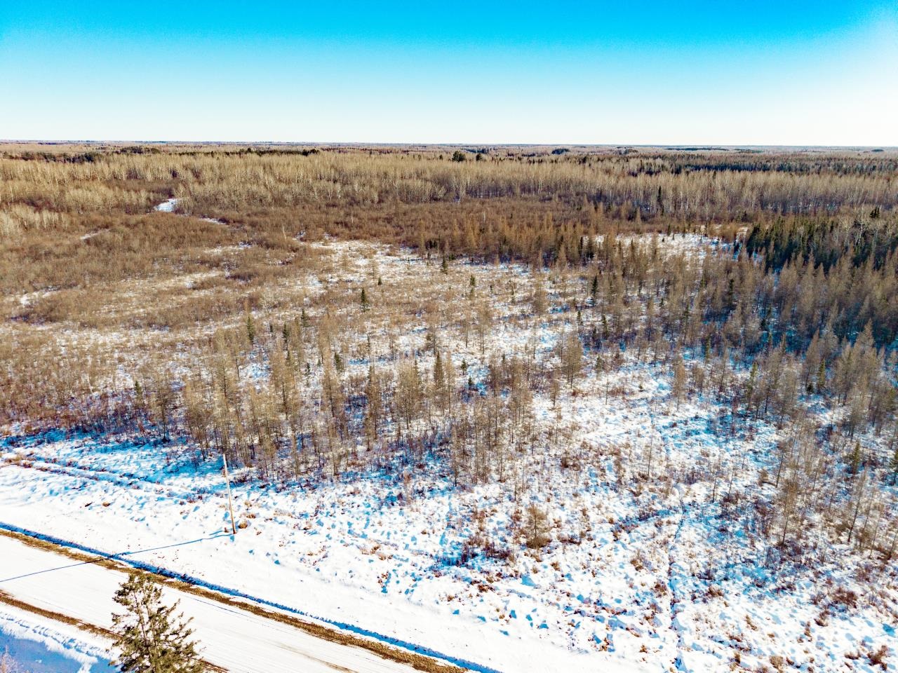 84-xx Peary Junction Road Forbes, MN 55738 - Photo 8 of 18 View of nature