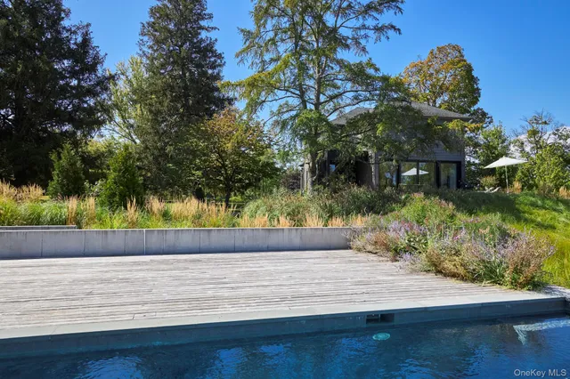 a wooden floor with a tree