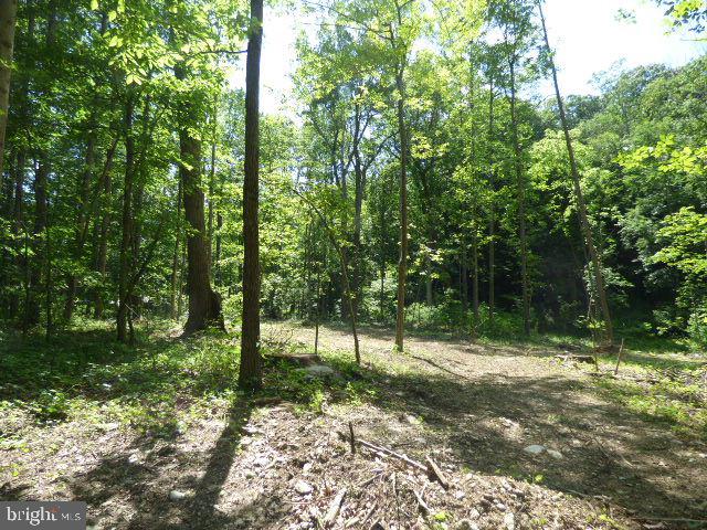 1250 Hain Road New Freedom, PA 17349 - Photo 36 of 36 Gallery Image 36