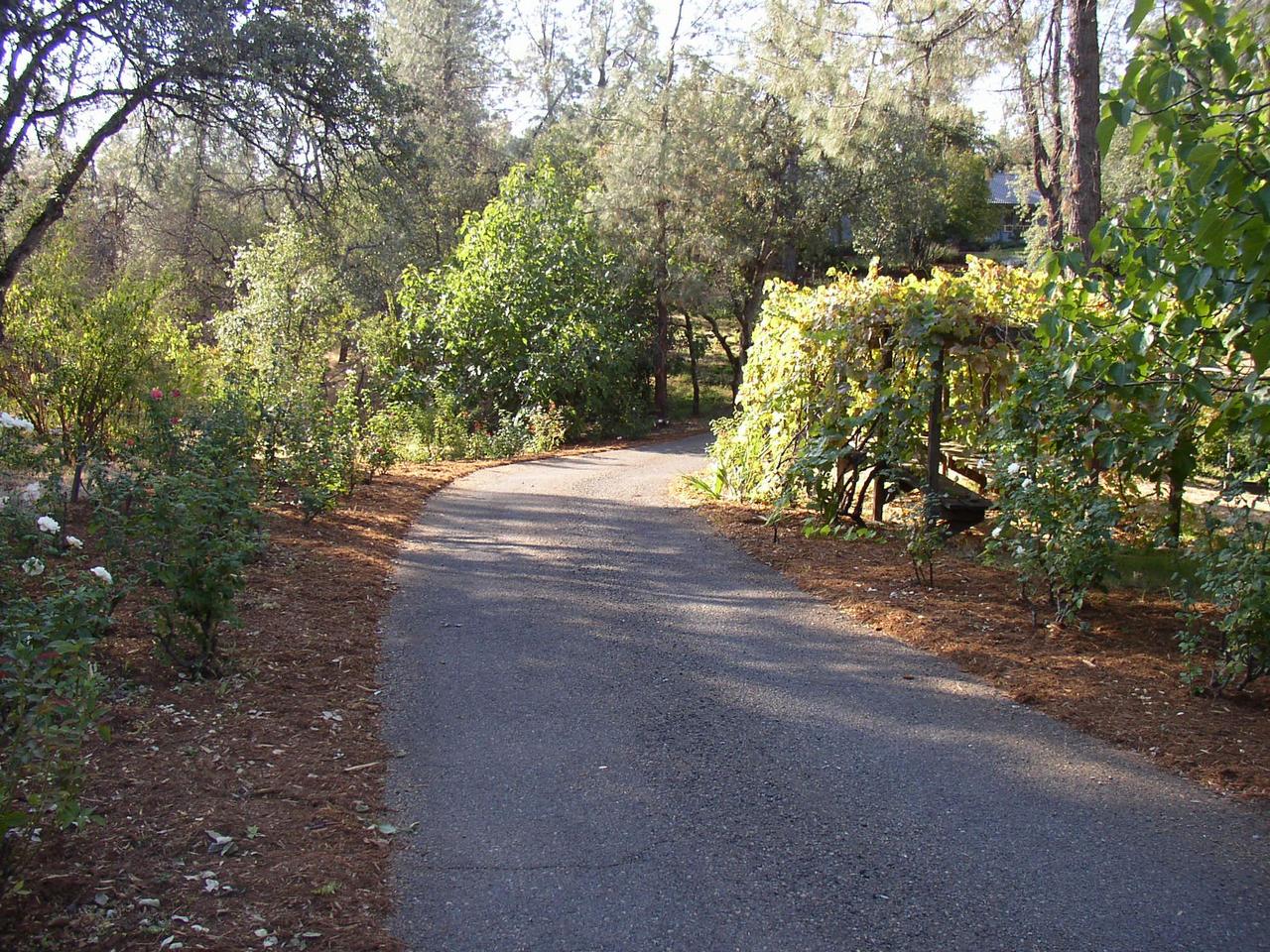 9283 Placer Road Redding, CA 96001 - Photo 11 of 20 Driveway