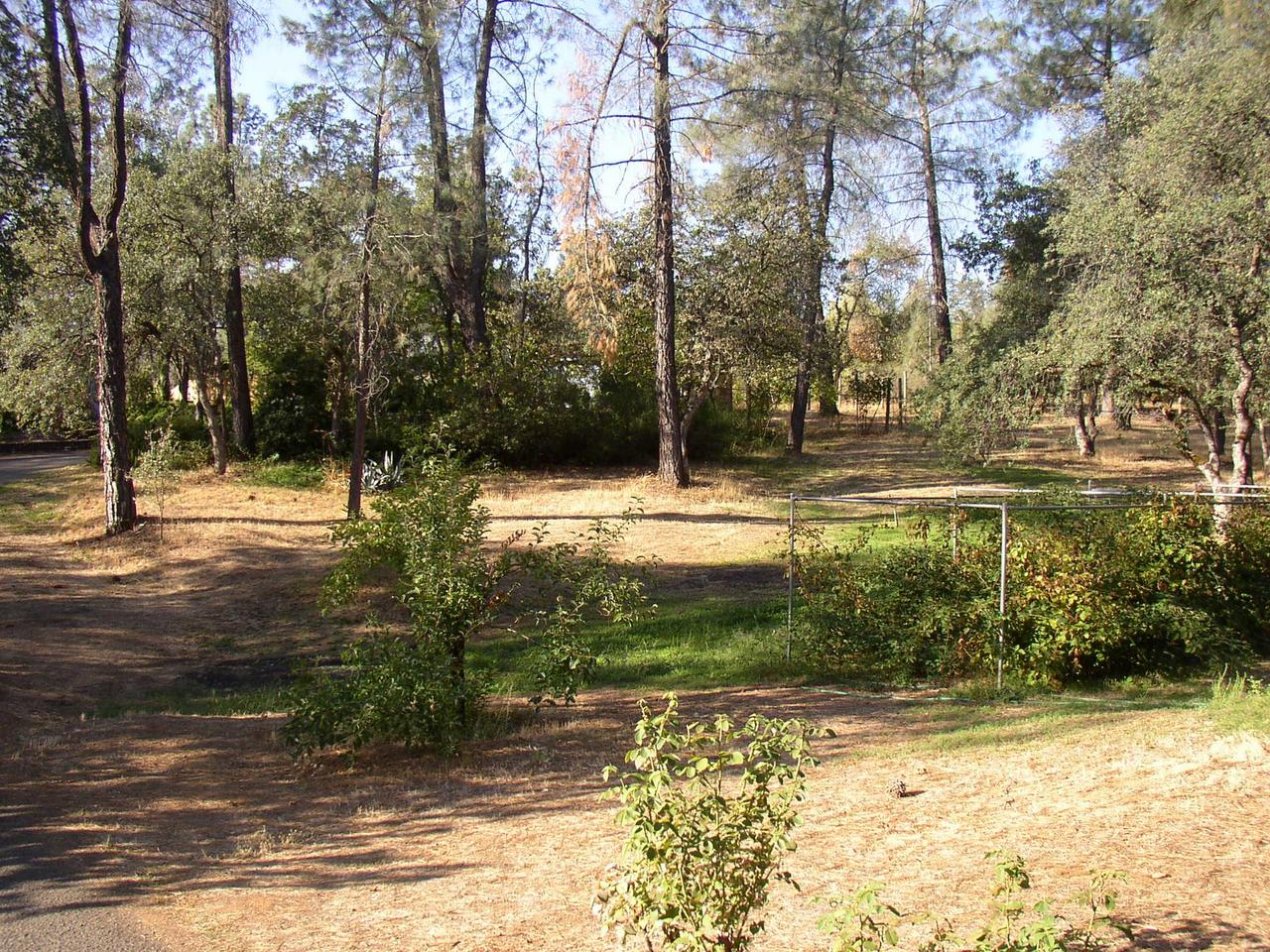 9283 Placer Road Redding, CA 96001 - Photo 4 of 20 Grounds