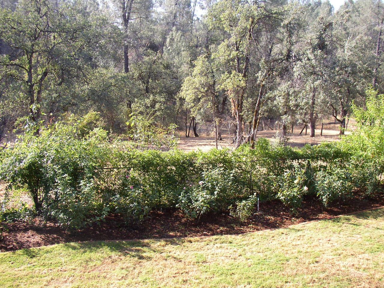 9283 Placer Road Redding, CA 96001 - Photo 10 of 20 View from Back