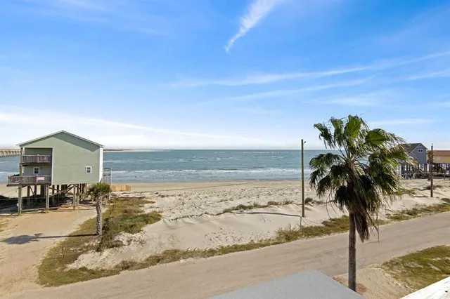 a view of ocean with a palm tree