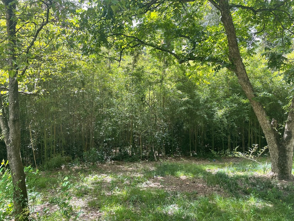 0 Floyd Dothan, AL 36301 - Photo 3 of 3
