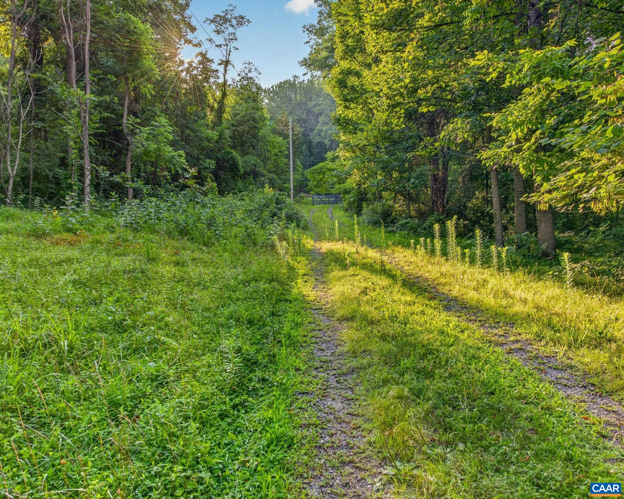 329 Jones Mountain Road Madison, VA 22727 - Photo 36 of 47 Gallery Image 36