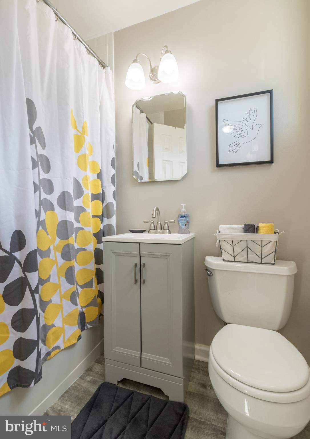32 Ridge Road, Unit E Greenbelt, MD 20770 - Photo 12 of 15 Bath room