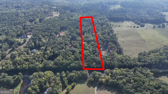 a view of a bird bath