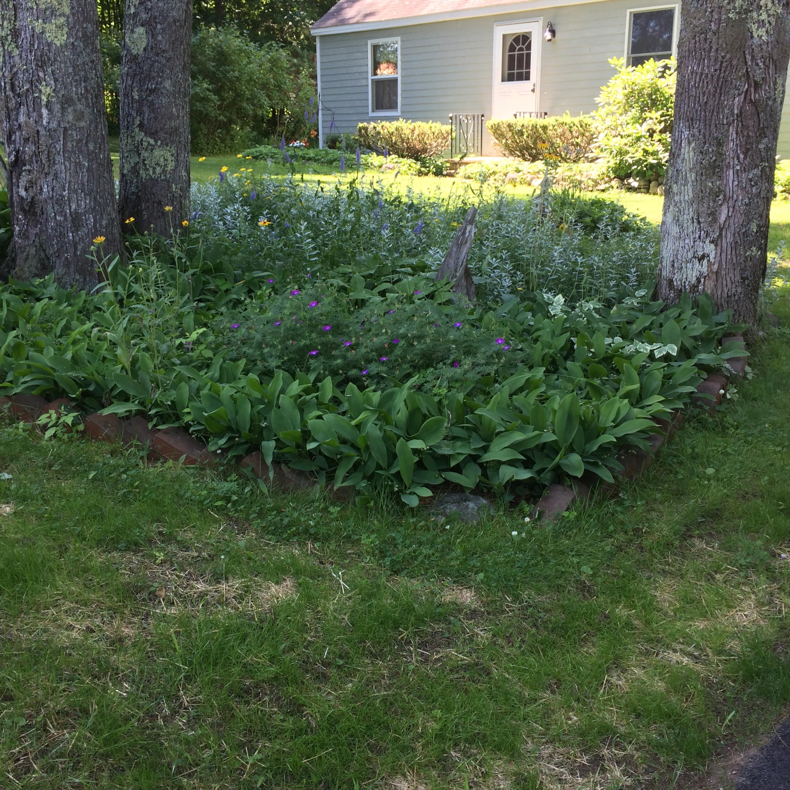 17 Bull Run Road Greene, ME 04236 - Photo 29 of 29 29