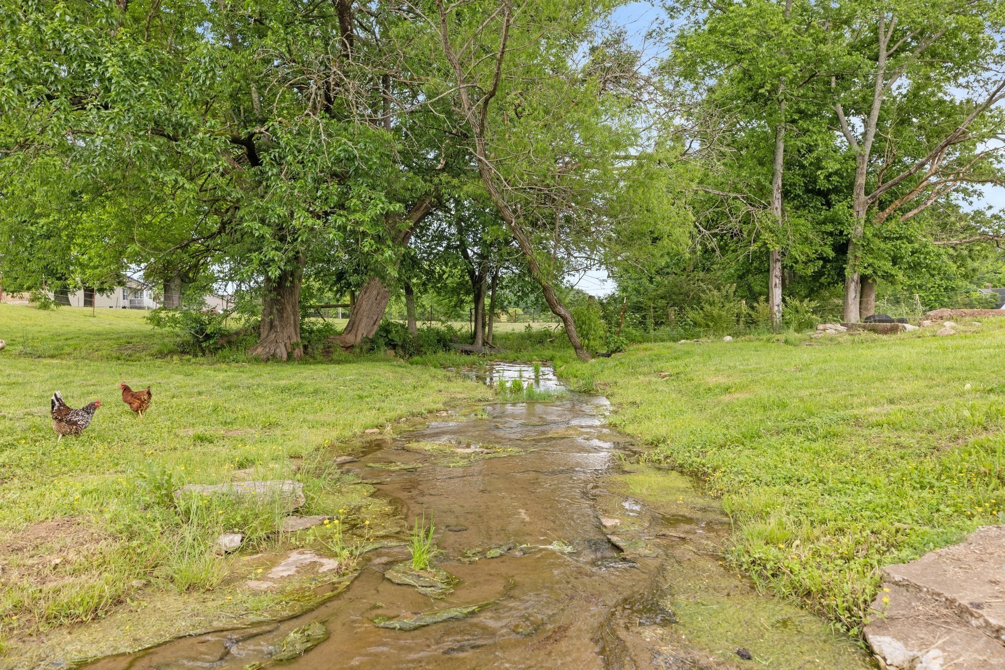 3310 Booker Ridge Road Mount Pleasant, TN 38474 - Photo 18 of 40 Gallery Image 18