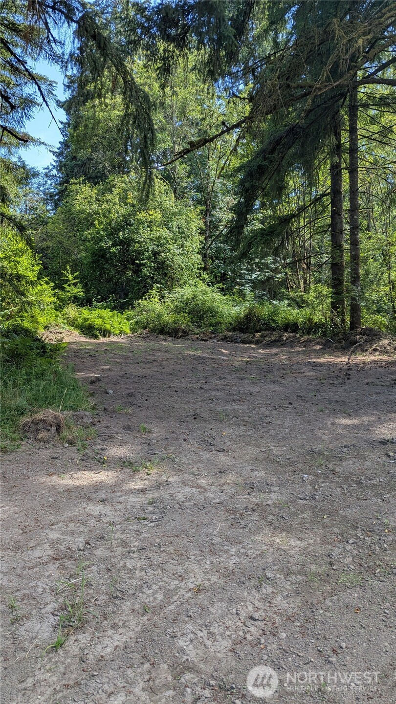 196 Jensen Road Onalaska, WA 98570 - Photo 3 of 9 Gallery Image 3