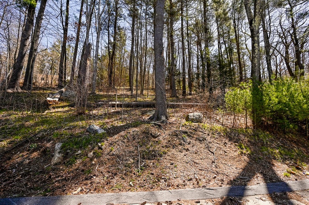 49 Over The Top Road Holland, MA 01521 - Photo 24 of 24