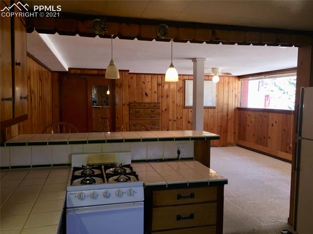 5755 Timpa Road Cascade, CO 80809 - Photo 47 of 49 Lower Kit/LR