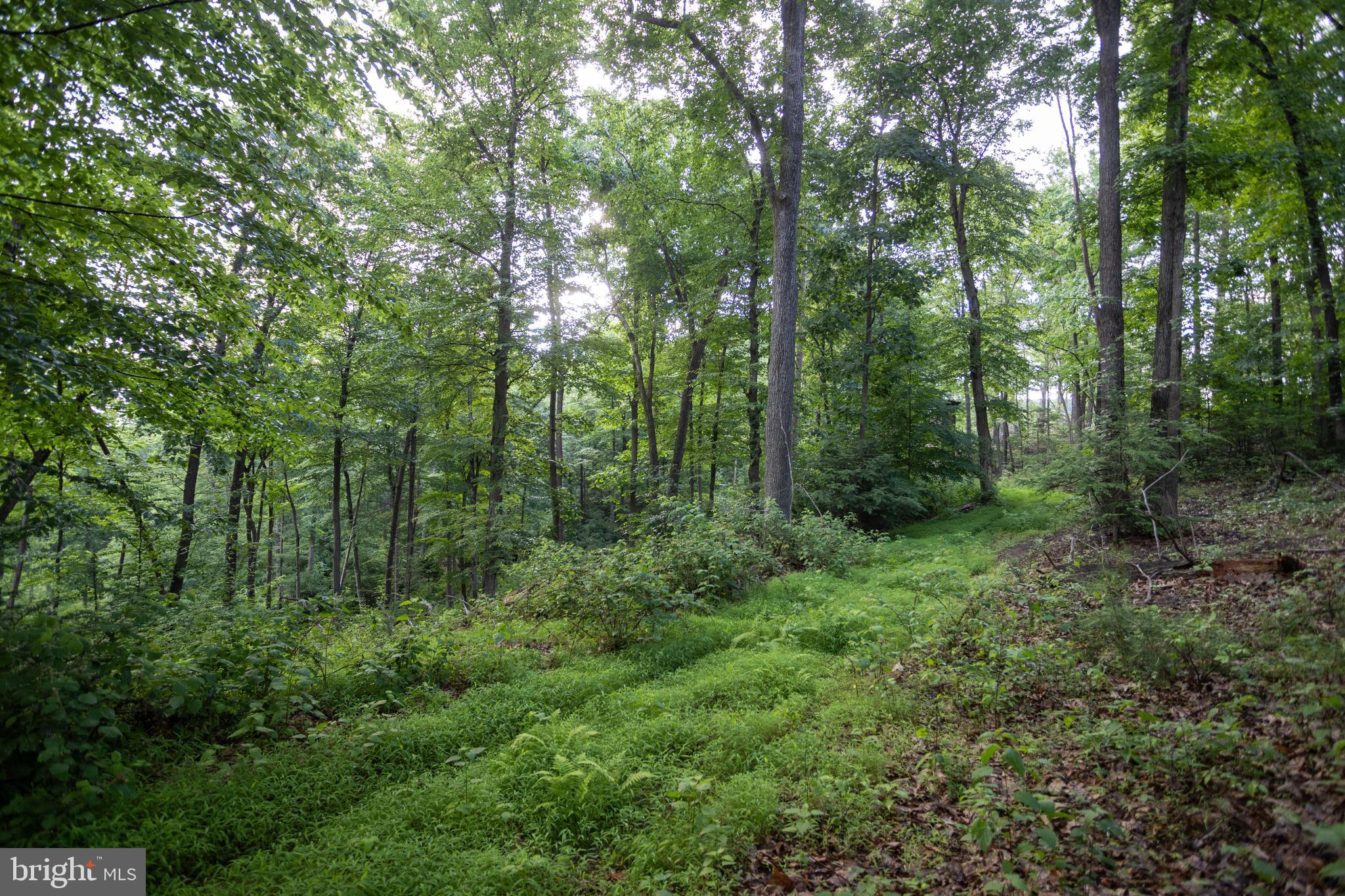 3125 Buckwheat Road Millerstown, PA 17062 - Photo 30 of 38
