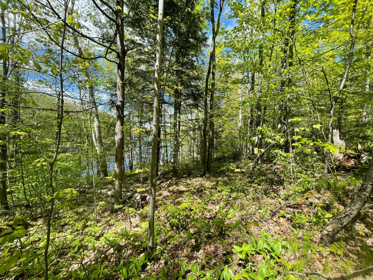 On On Shore Rd Summit Lake Summit Lake, WI 54485 - Photo 12 of 13 Gallery Image 12