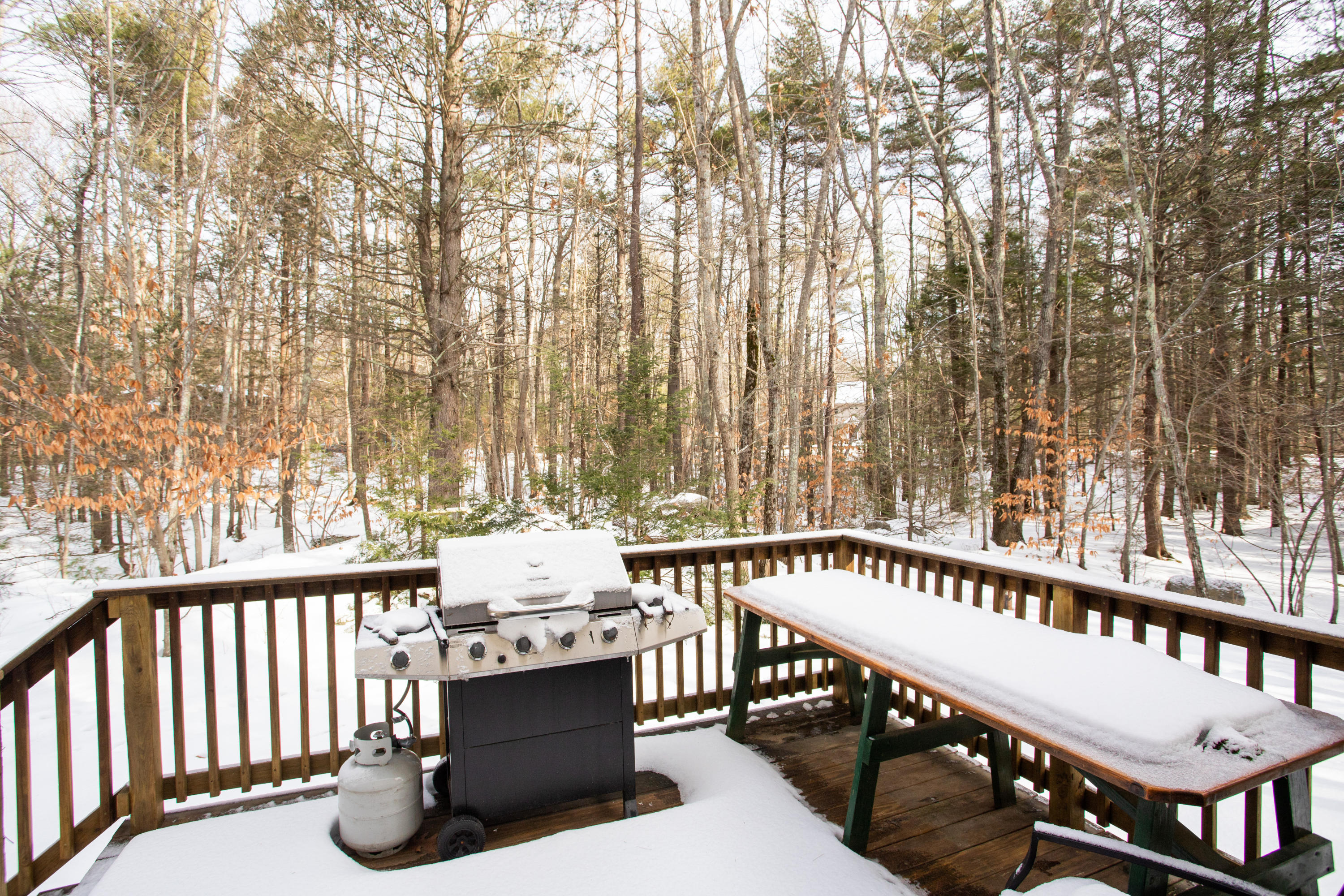 207 Mountain Road Cape Neddick, ME 03902 - Photo 28 of 31 207 Mountain Rd (4)