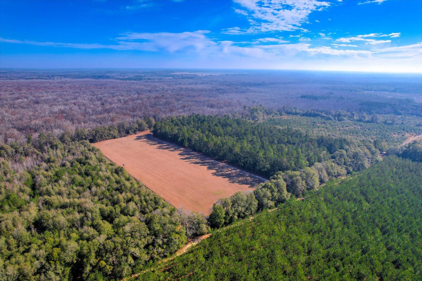 1114 Lott Bluff Road Blackville, SC 29817 - Photo 75 of 164
