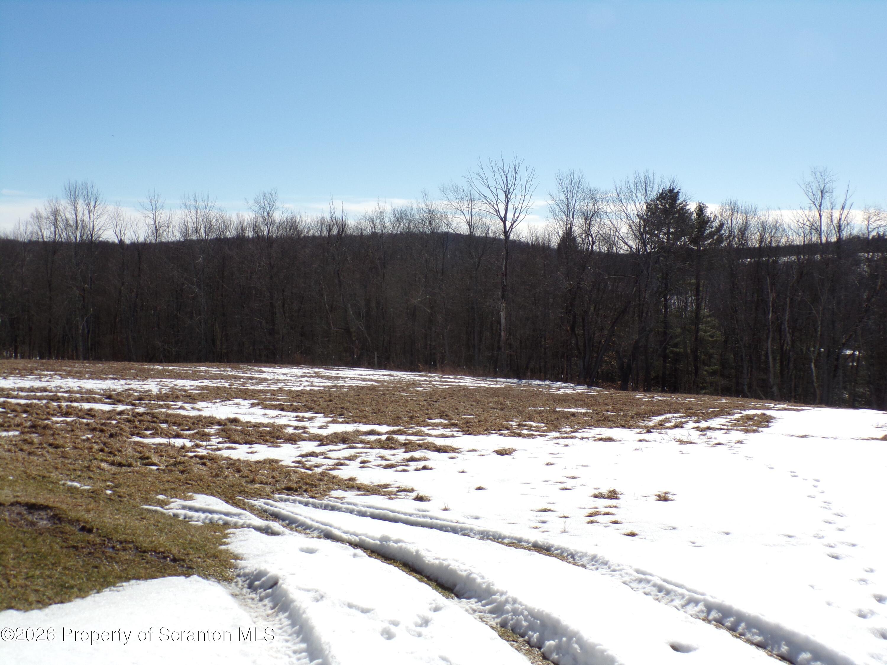 2590 Potter Hill Road Thompson, PA 18465 - Photo 30 of 38 Acreage 2