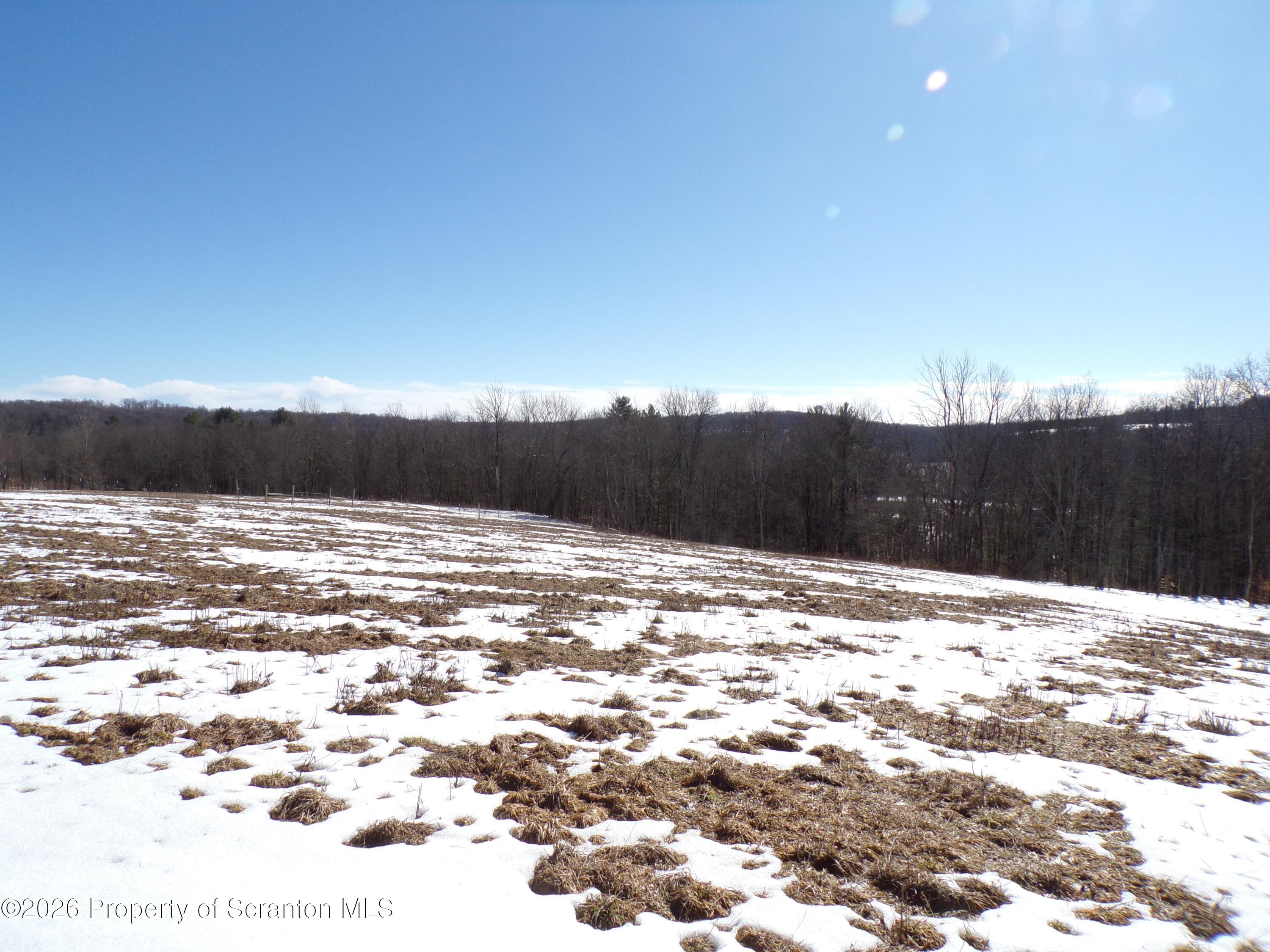 2590 Potter Hill Road Thompson, PA 18465 - Photo 31 of 38 Acreage