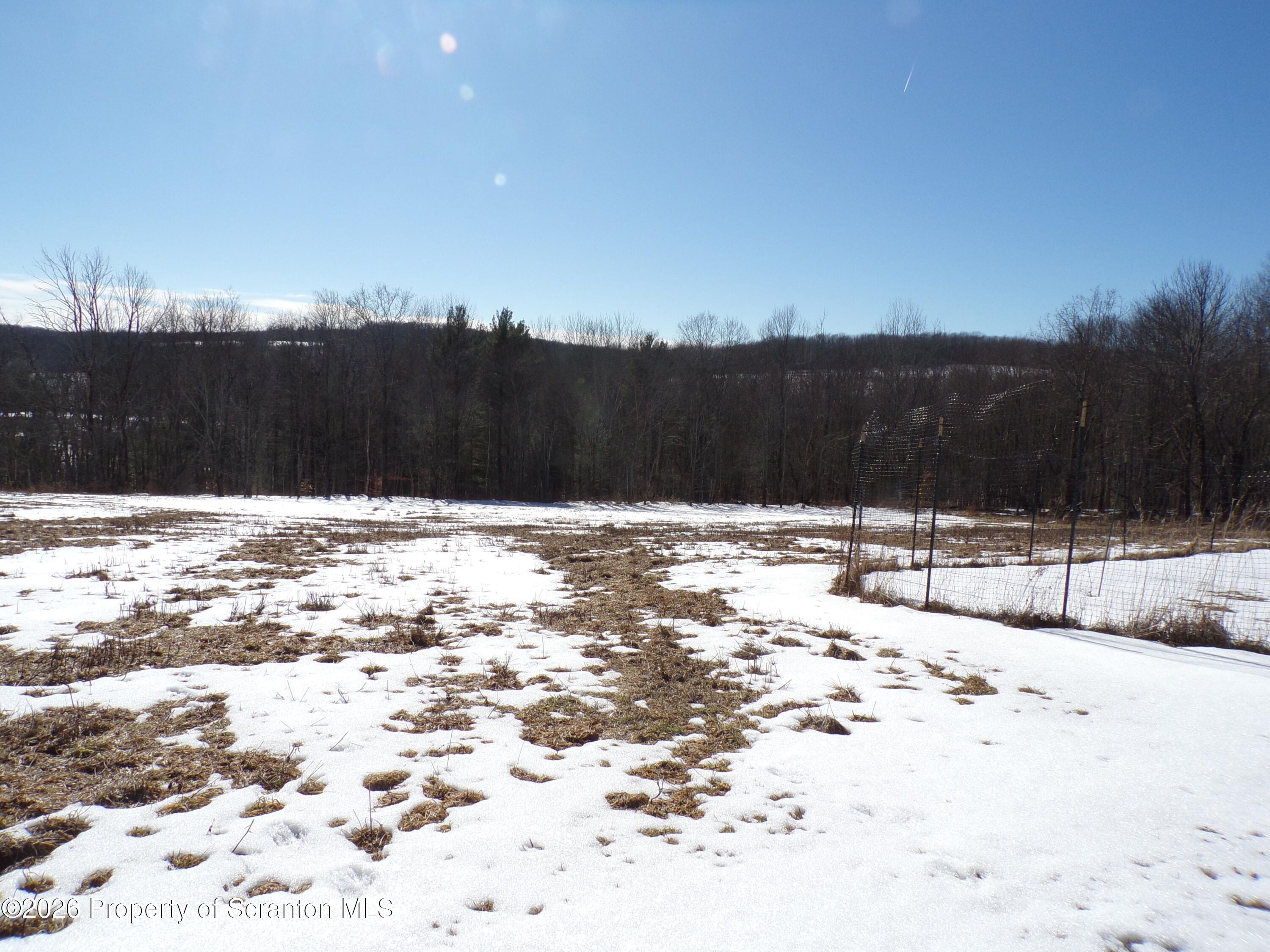 2590 Potter Hill Road Thompson, PA 18465 - Photo 32 of 38 Back field