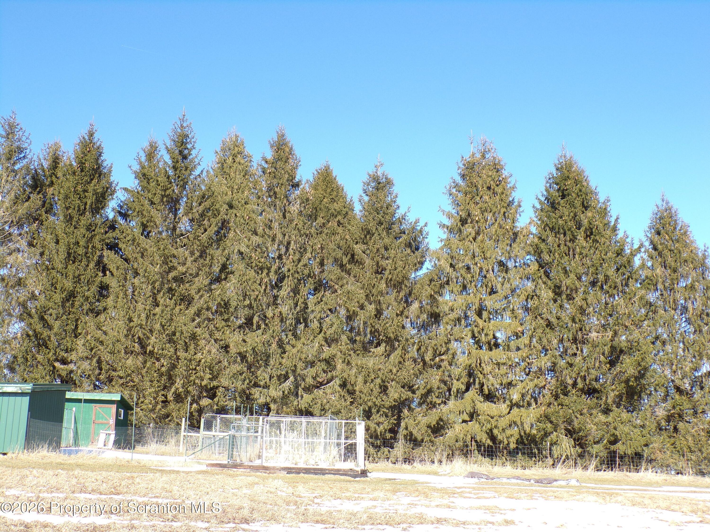 2590 Potter Hill Road Thompson, PA 18465 - Photo 38 of 38 Storm barrier