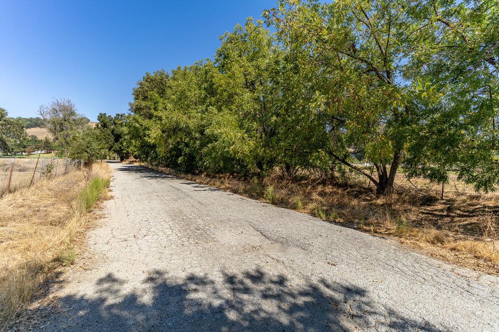0 Hecker Pass Road Gilroy, CA 95020 - Photo 7 of 10 a view of a yard with a tree