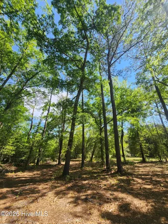 $55,900 | Lot 4 Shaw Highway, Rocky Point, NC 28457
