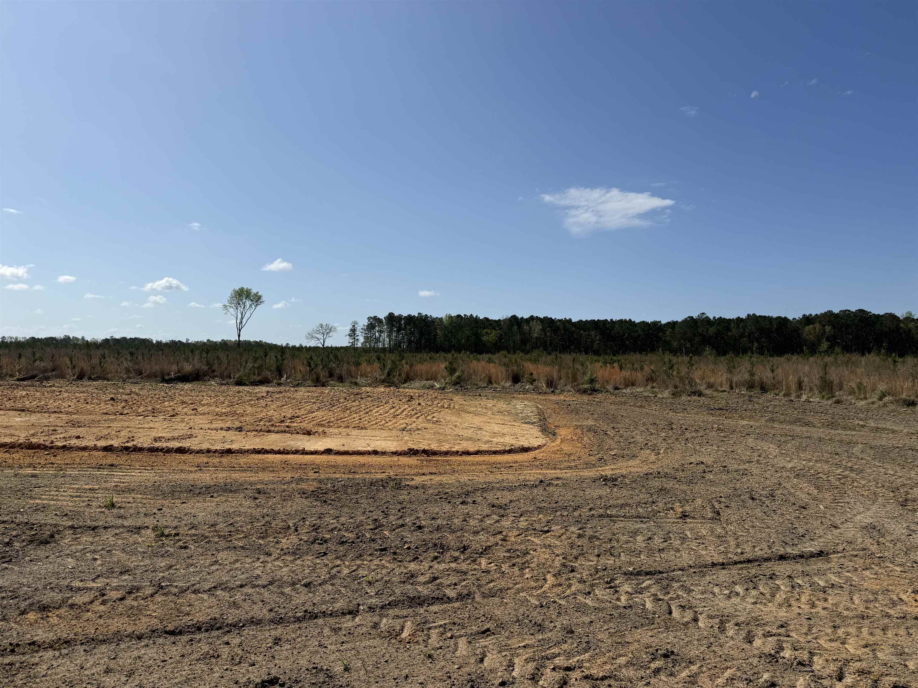 1507 Patty Road Cades, SC 29518 - Photo 31 of 31