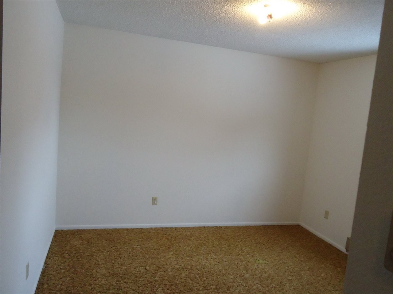429-431 Riley Lane Delta, CO 81416 - Photo 10 of 21 Gallery Image 10