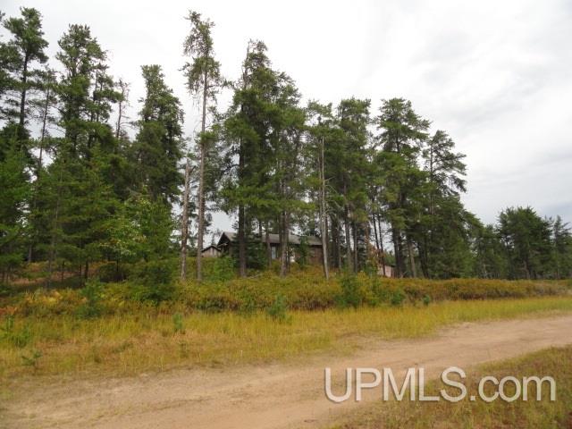 12498-12518 North Randolph Road Watton, MI 49970 - Photo 16 of 18