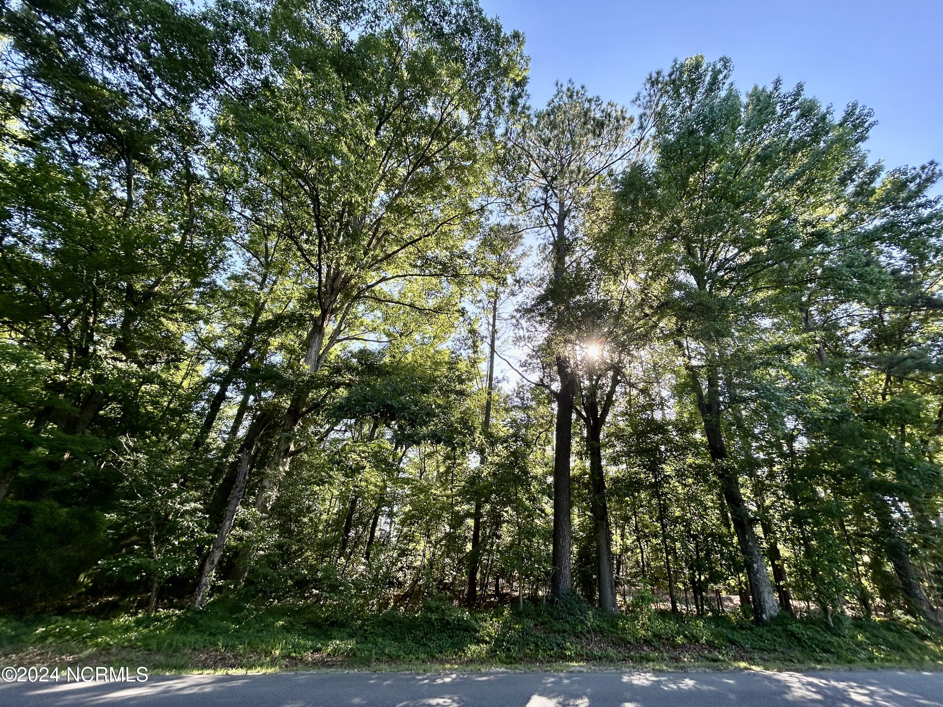 116 American Legion Road Rockingham, NC 28379 - Photo 20 of 23 Gallery Image 20